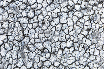 White dry earth with a web of cracks. Dry salty seabed. Salty land.