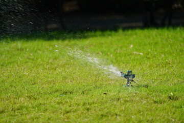 Sprinkler grass working system, working on the field in the garden.