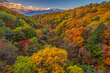 autumn colors in the mountains