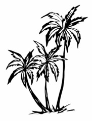 Three palm trees drawn with a black outline