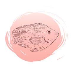 fish vector sketch