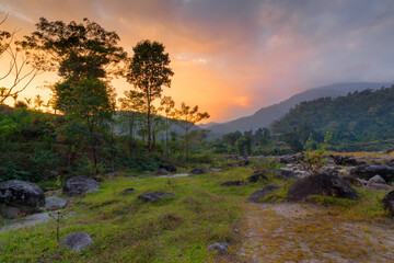 A beautiful sunset at Jhalong with silhouette of tree and orange sky in back ground, Dooars - North Bengal, India