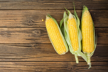 Fresh corn on the cob on a rustic wooden table with copy space - top view