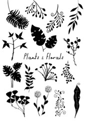 Plants and Florals black and white