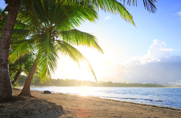 Fototapeta na wymiar Tropical sunrise with coconut palm trees and caribbean sea .