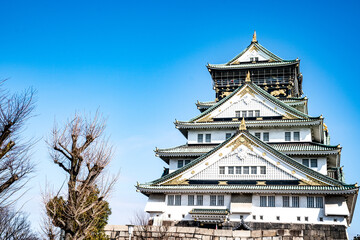 Japanese, Tourists, Travelers walked around Osaka Castle in Mar 2018 with dry tree around, Oaska, Japan.