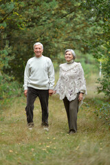 Naklejka na ściany i meble Portrait of happy senior couple posing in autumn forest