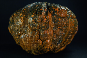 Zucca con forma irregolare su sfondo nero.