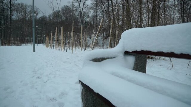 close up of park bench in winter in Gorowo, Bartoszyce County, Warmian-Masurian Voivodeship, Poland