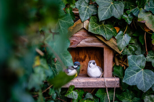 Bird house with stone birds in garden
