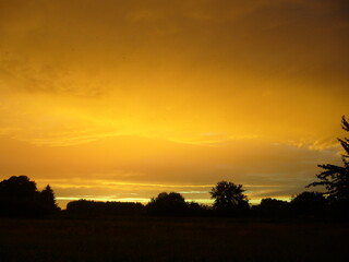 Yellow sunset