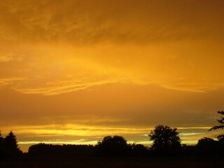 Fototapeta na wymiar Yellow sunset