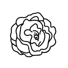 Vector illustration of a rose for Valentine's Day with a black line on an isolated background. Single, simple, festive picture in doodle style. Design for cards, stickers, posters, web, packaging.