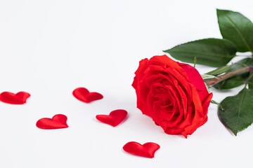 Fototapeta na wymiar Red rose and hearts on a white background. Valentine's day greeting card. Place for your text.