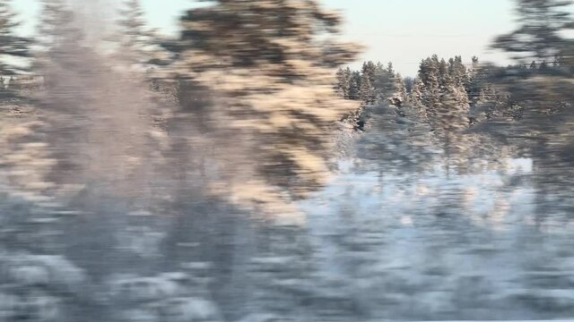 View of the winter forest landscape from the window of a moving train on a sunny day with parallax effect