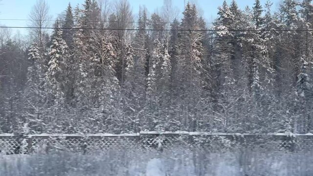 View of the winter forest landscape from the window of a moving train on a sunny day with parallax effect