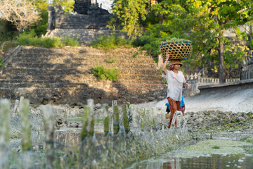 Nusa Penida,Bali-Sept 04 2021: A seaweed farmer in Nusa Penida Bali is harvesting his seaweed cages on a cloudy afternoon. Grass became the main commodity when tourism collapsed in Nusa Penida Bali