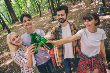 Portrait of attractive cheerful four people gathering meeting getaway resting in wild park clinking bottle having fun outdoors