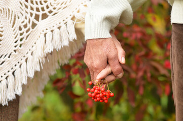 Couple holding hands together on background of park