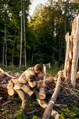 unshaven young nice experienced lumberjack guy with sharp ax cuts log, chopping trees, preparing firewood. Technique at work. male chops wood in coniferous forest, alone, at summer evening. side view