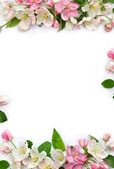 Frame of flowers apple tree, pink and white blossom on a white background with space for text. Top view, flat lay