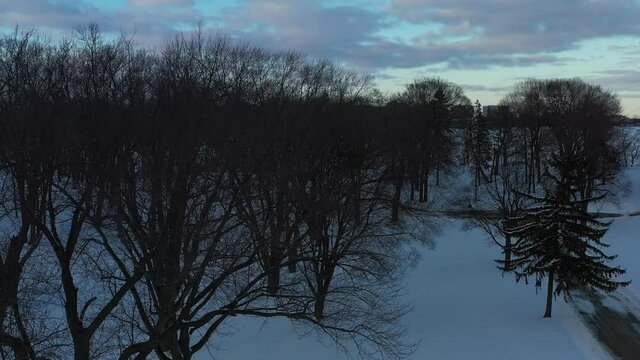 Flying over trees in Olin Park to see Downtown Madison Wisconsin in Winter (Drone Video)