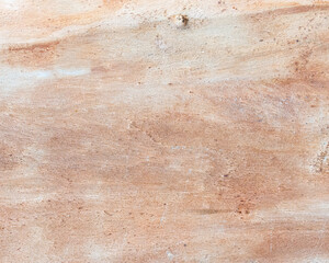 texture of Eucalyptus tree bark
