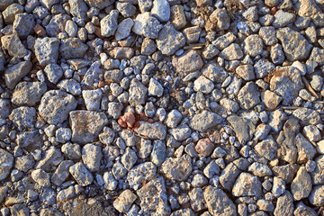 The texture of the limestone stone road. Grey stone background.