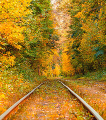 Autumn forest through which an old tram rides (Ukraine)