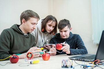 School experiment with apples. School students extract electricity from apples, use of the energy...