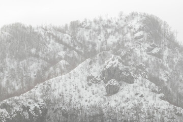 Fototapeta premium view of a snow-capped mountain with autumn colors as well