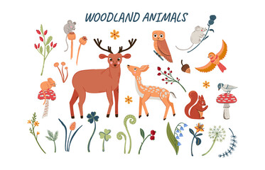 Wooden flora and fauna collection. Big set of cute forest animals and nature