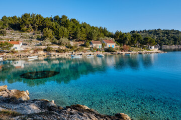 Fototapeta premium view of the bay and pine trees