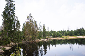 Fototapeta na wymiar lake in the forest harz odersee