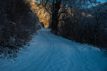 landscape at the sunset