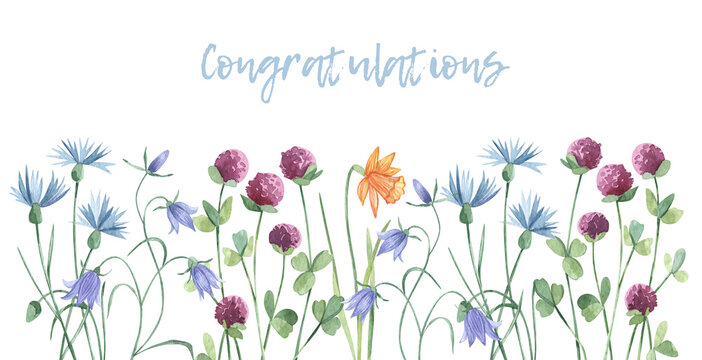 Watercolor hand painted spring wild flowers banner. Delicate meadow wildflowers. Wedding congratulation invitation, birthday card design. isolated elements on white background. mother day, valentines.