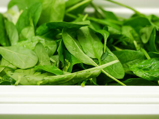 sliced ​​vegetables lie in containers on the showcase of the restaurant