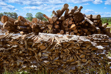 A large neatly stacked pile of firewood. Rustic summer landscape.
