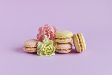 Tasty french macaroons with tender flower on a violet pastel background.