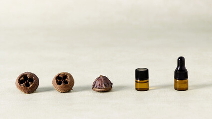 Essential oils in little amber-glass bottles wit eucalyptus seeds in row. Aromatherapy concept with copy space.
