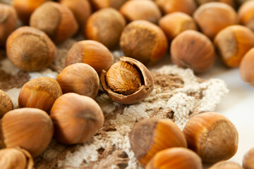 Hazelnut with shells close up.