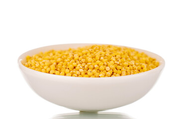 Uncooked organic millet groats in a white ceramic saucer, close-up, isolated on white.