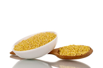 Uncooked organic millet groats in a white ceramic saucer with a wooden spoon, close-up, isolated on white.
