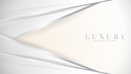 Luxury silver abstract background  ,Illustration modern template deluxe design background , illustration Vector EPS 10