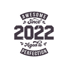 Born in 2022 Awesome Retro Vintage Birthday, Awesome since 2022 Aged to Perfection