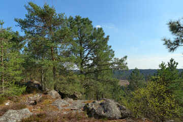 Fototapeta na wymiar Corne-Biche rock in Fontainebleau forest
