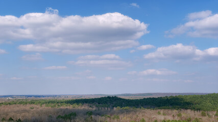 Obraz premium Cloud shadows on Fontainebleau forest. Ile-De-France regoin