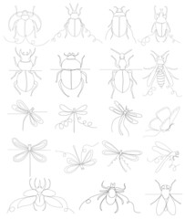 Fototapeta na wymiar insects set sketch one line drawing,vector