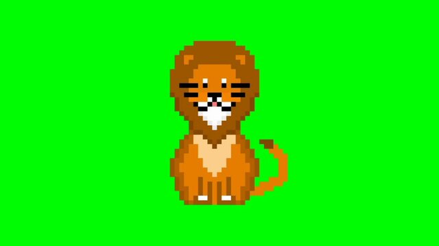 cute lion pixel art 2d animation