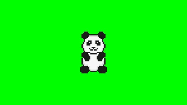 Cute baby panda pixel art 2d animation